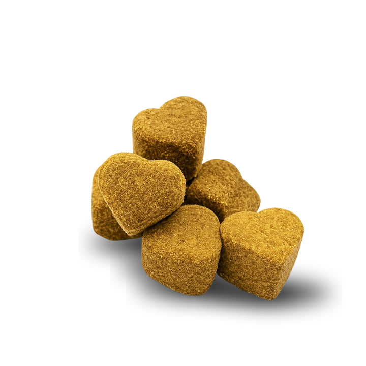 Muchoo 11-in-1 Multivitamine voor honden