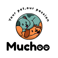 Muchoo | Be Ready For Autumn & Winter